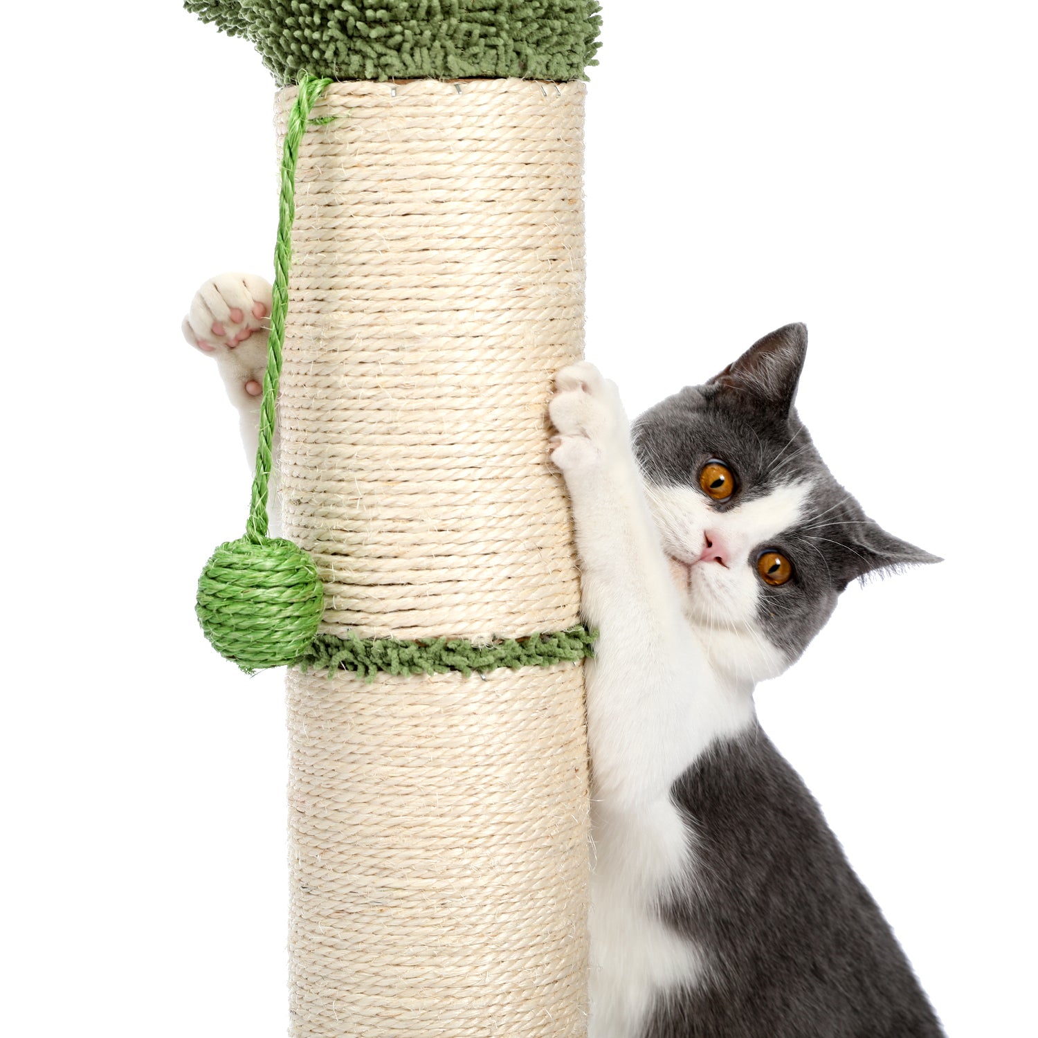 Large Cactus Cat Scratching Post with Natural Sisal Ropes, Cat Scratcher for Cats and Kittens White - Tonkn