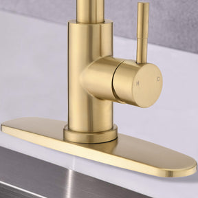 Pull Down Kitchen Faucet with Sprayer Stainless Steel Brushed Gold - Tonkn