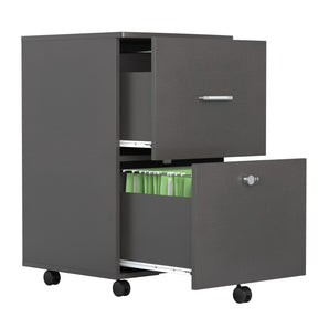 File cabinet with two drawers with lock,Hanging File Folders A4 or Letter Size, Small Rolling File Cabinet Printer Stand office storage cabinet Office pulley movable file cabinet Dark Gray - Tonkn